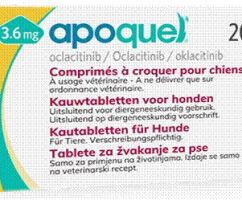 APOQUEL 3,6 KAUWTABLET 20 TAB