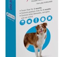 BRAVECTO  GR HOND  20-40KG