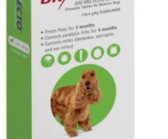 BRAVECTO   MD HOND 10-20KG