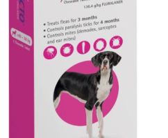 BRAVECTO  ZGR HOND 40-56KG