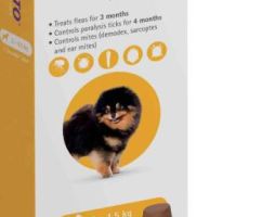 BRAVECTO    ZKL HOND 2-4,5KG