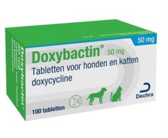 DOXYBACTIN 50 MG WEBSHOP