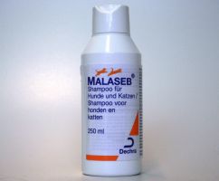MALASEB SHAMPOO 250 ML