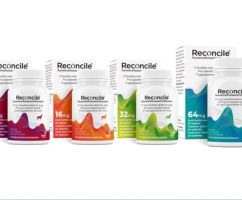 RECONCILE 16MG 30 TAB