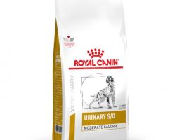 ROY C URINARY SMALL 4 KG
