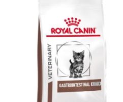 ROY F INTEST KITTEN  400 GR