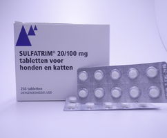 SULFATRIM 20/100 25 X 10 TBL