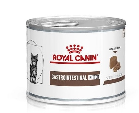 ROY F INTEST KITTEN BLIK